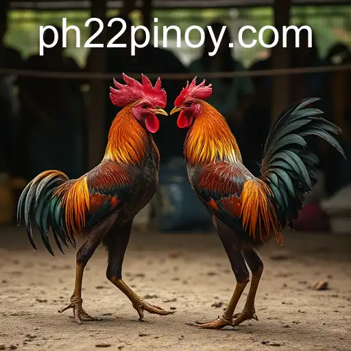 Exploring the Rich Tradition of Sabong Games and the Emerging Phenomenon of PH 22